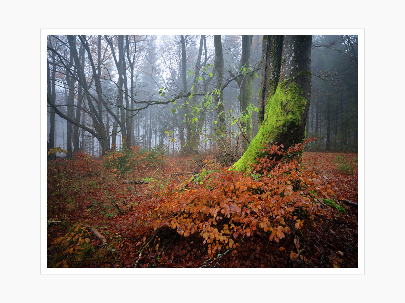 Max Schiefele Alle Bilder DSC01351